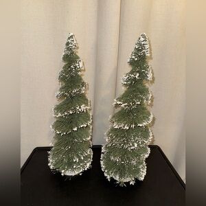 Two large bottle brush trees